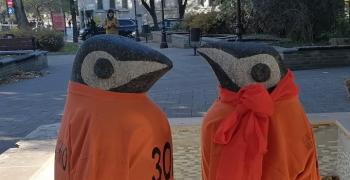 Пингвините пред катедрален храм „Св. Николай“ в Стара Загора отново облякоха оранжеви одежди