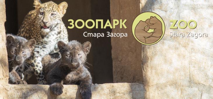 Търси се кръстник на новите обитатели на Зоопарка в Стара Загора