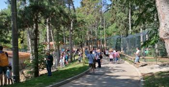 Стотици приятели посрещна обновеният зоопарк в Стара Загора тази сутрин