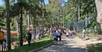 Зоопаркът в Стара Загора празнува рожден ден