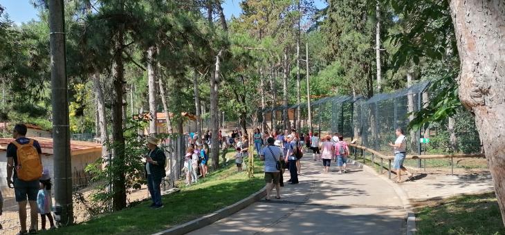 Стотици приятели посрещна обновеният зоопарк в Стара Загора тази сутрин