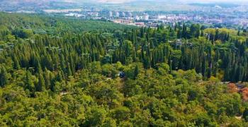 Първите автобуси за залесяването утре тръгват в 9:00 часа