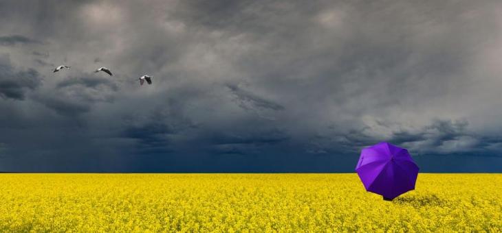 Облачно време през следващите дни